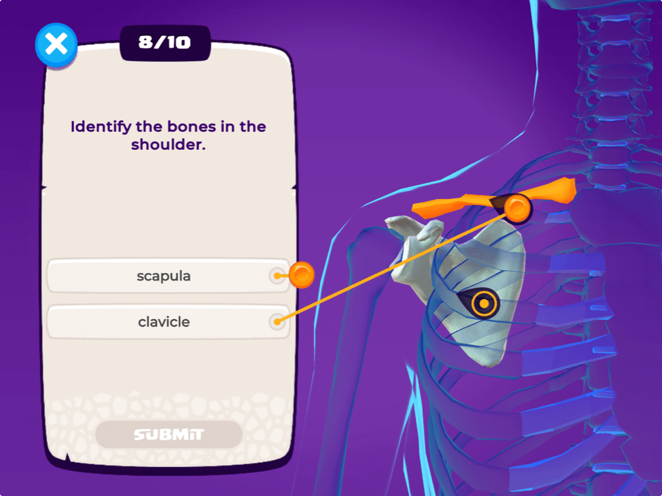 Anatomy Challenge
