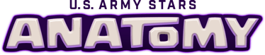 U.S. Army STARS Anatomy Logo